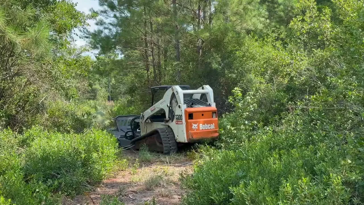 Bobcat T300 clearing thick brush on a wooded lot in South Carolina