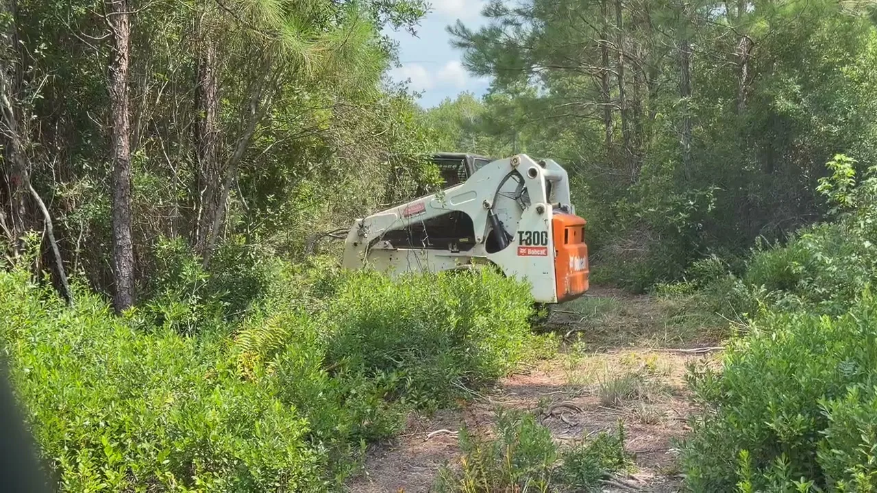 Bobcat T300 track loader working through brush under pines in South Carolina