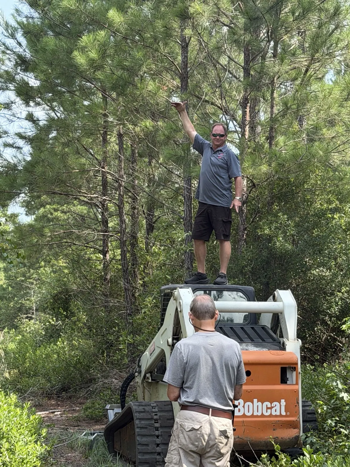 Category 5 Land Management with the Bobcat T300 track loader on a clearing job