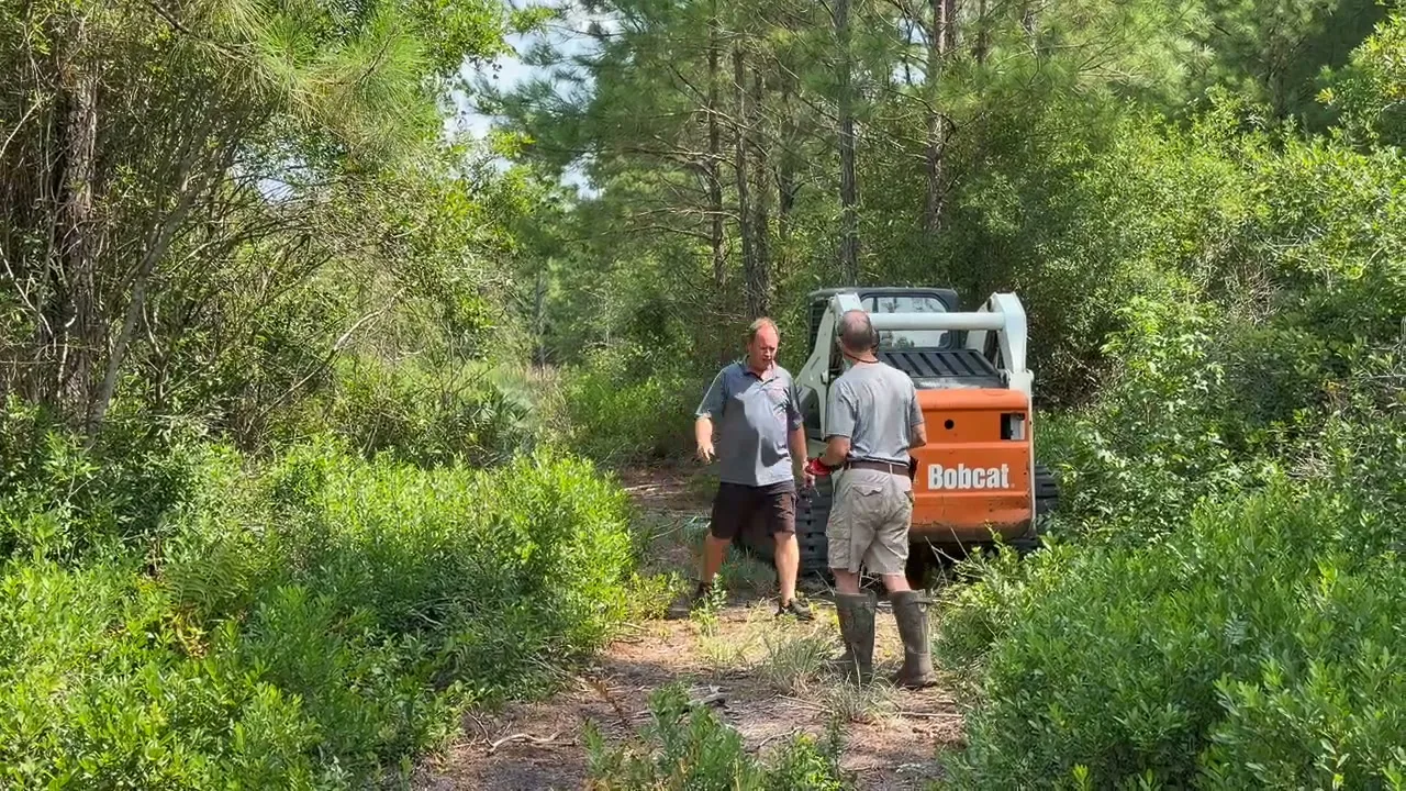 Crew beside the Bobcat T300 at the brush line of an overgrown lot in South Carolina