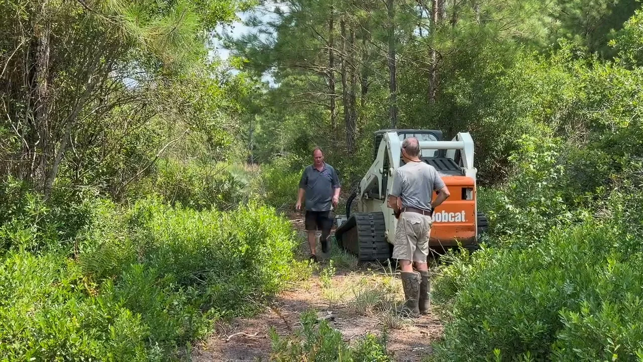 Crew with the Bobcat T300 in thick brush on a South Carolina property