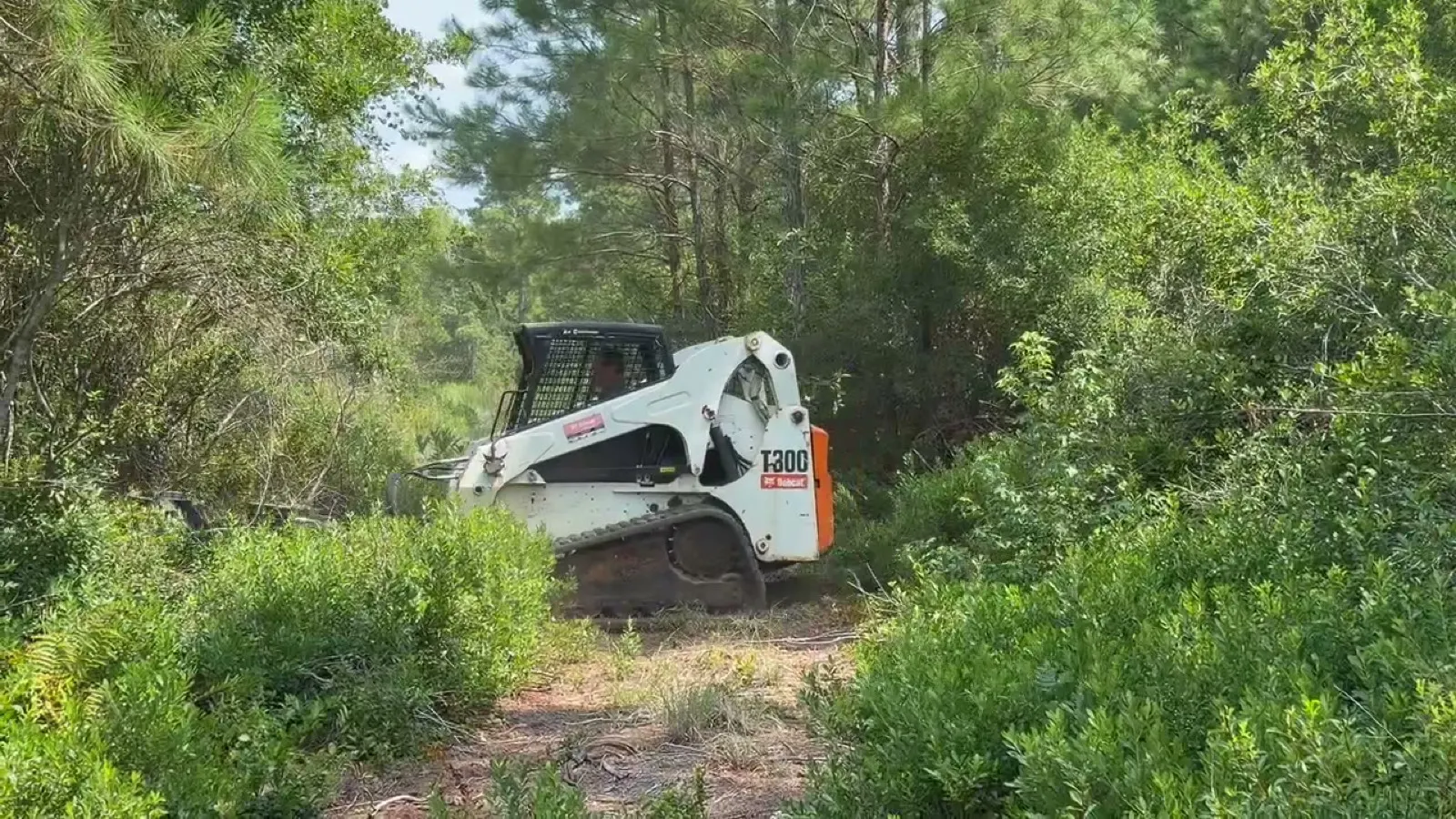 Forestry mulcher grinding underbrush on a wooded South Carolina property