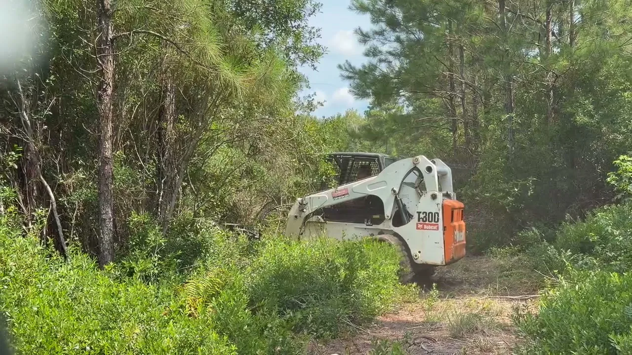 Hunting Land and Food Plots in Longs, SC