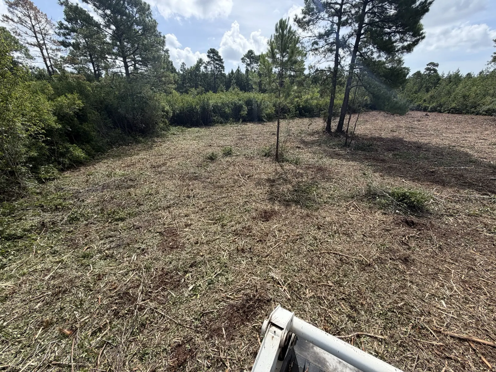 Cleared and mulched acreage in Longs, South Carolina after land clearing