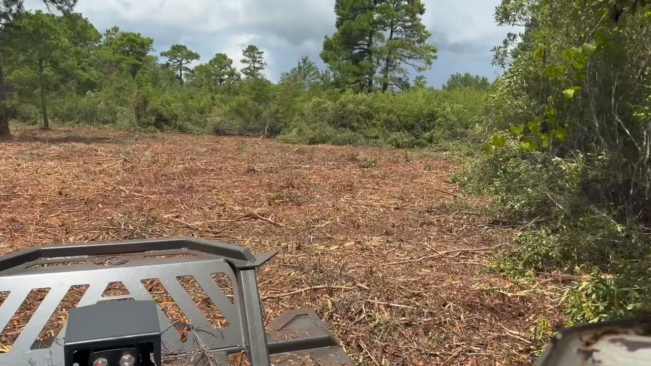 Freshly mulched field seen from the cab of the Bobcat T300 after a pasture reclamation pass in South Carolina