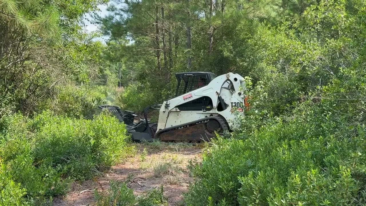 Storm Cleanup in Longs, SC